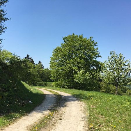 Ferienhaus Hochbrand Rabenstein المظهر الخارجي الصورة