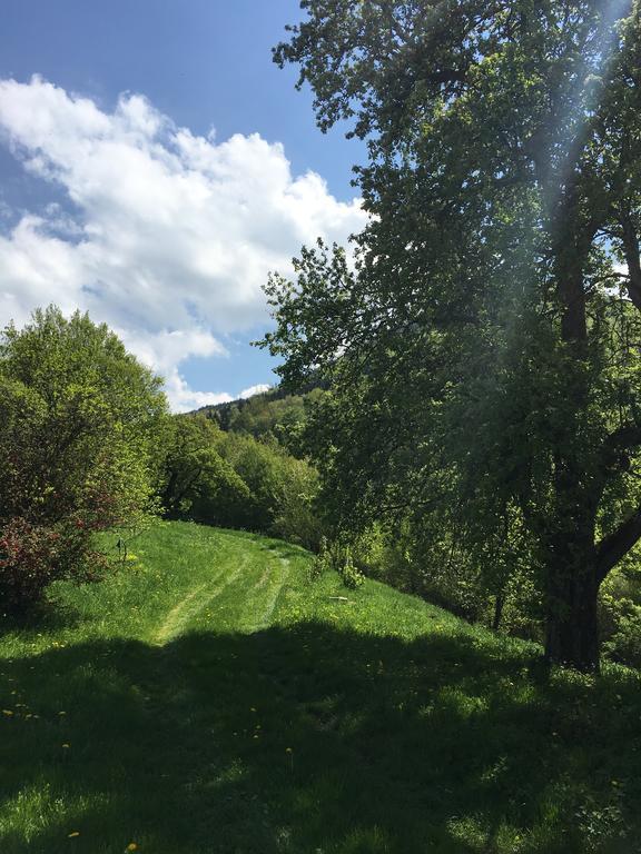 Ferienhaus Hochbrand Rabenstein المظهر الخارجي الصورة