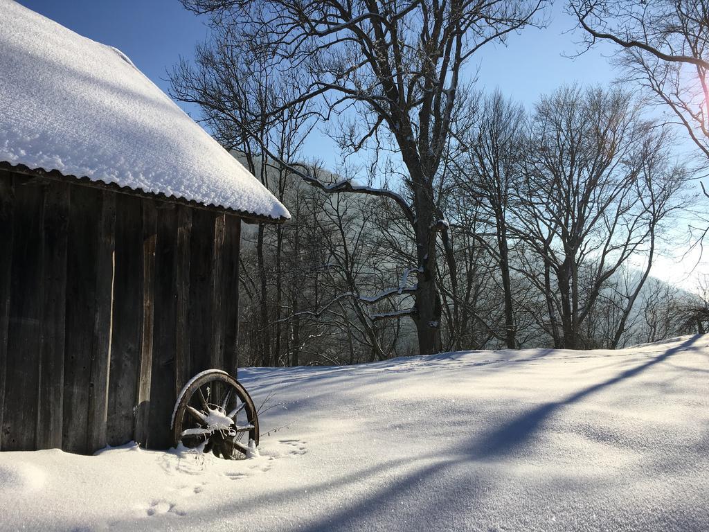 Ferienhaus Hochbrand Rabenstein المظهر الخارجي الصورة